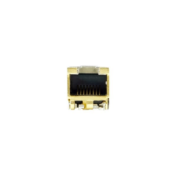Data General 10G-RJ45 - Image 2